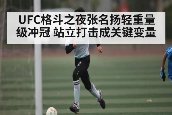 UFC格斗之夜张名扬轻重量级冲冠 站立打击成关键变量